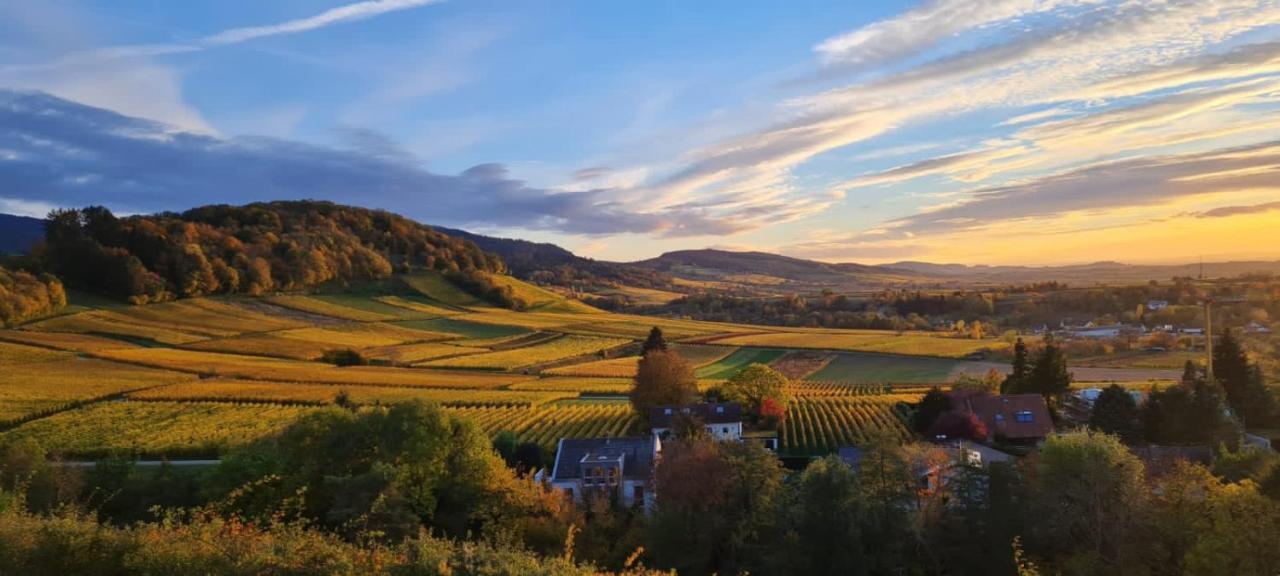 Paradies 2 Castellberg-Jakobsweg Döttingen Exteriér fotografie
