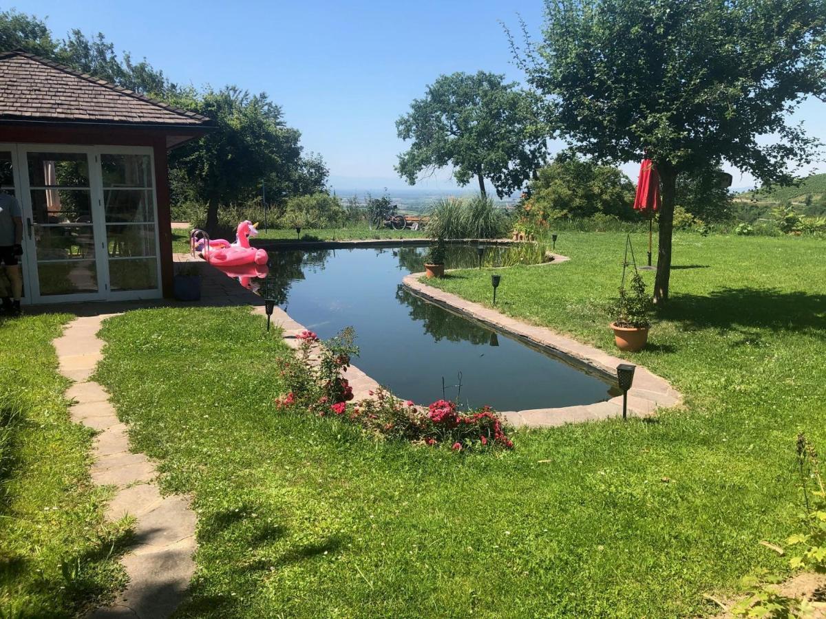 Paradies 2 Castellberg-Jakobsweg Döttingen Exteriér fotografie