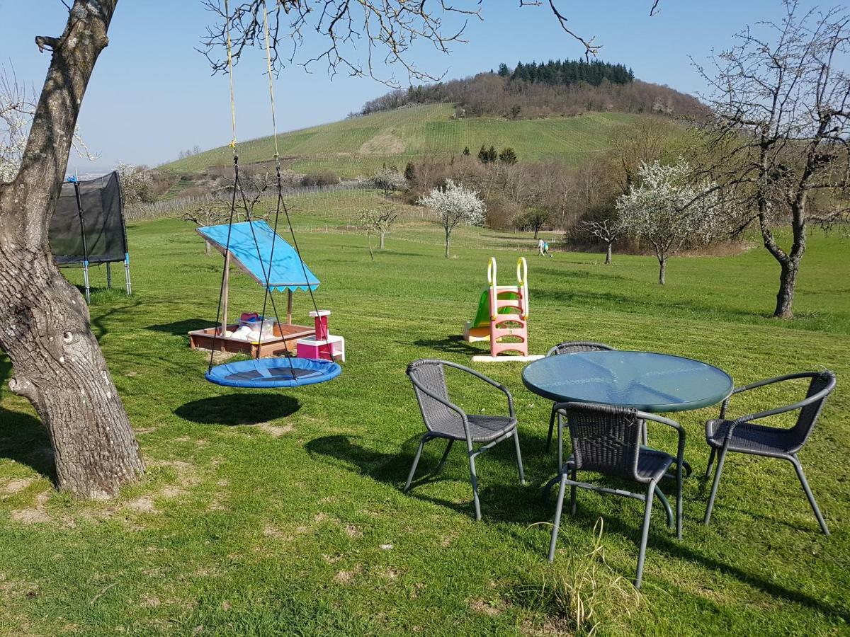 Paradies 2 Castellberg-Jakobsweg Döttingen Exteriér fotografie